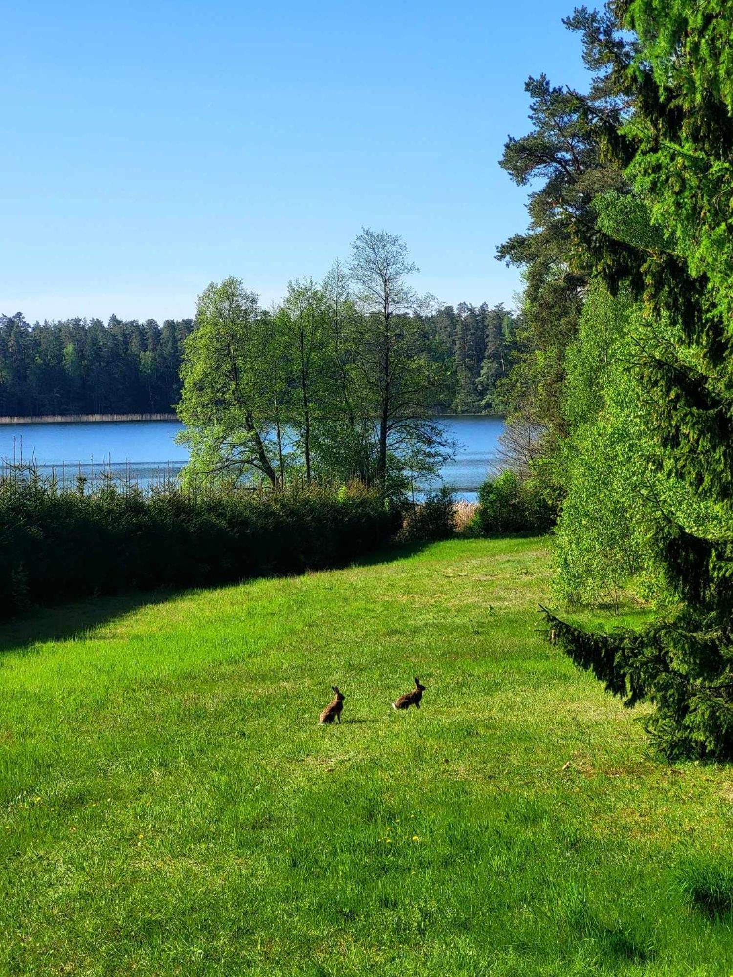 Lakehouse *